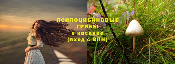сатива Майский