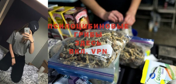 твердый Мегион