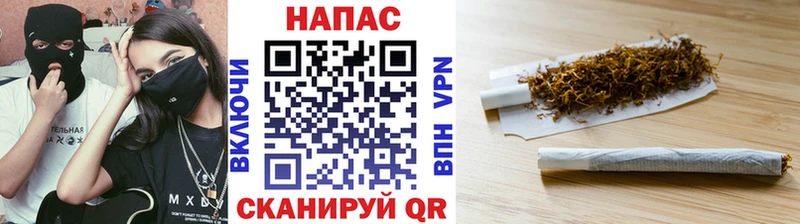 Бошки Шишки гибрид  Южно-Сухокумск 